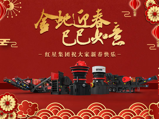 金蛇迎春 巳巳如意 | 紅星集團祝大家新春快樂