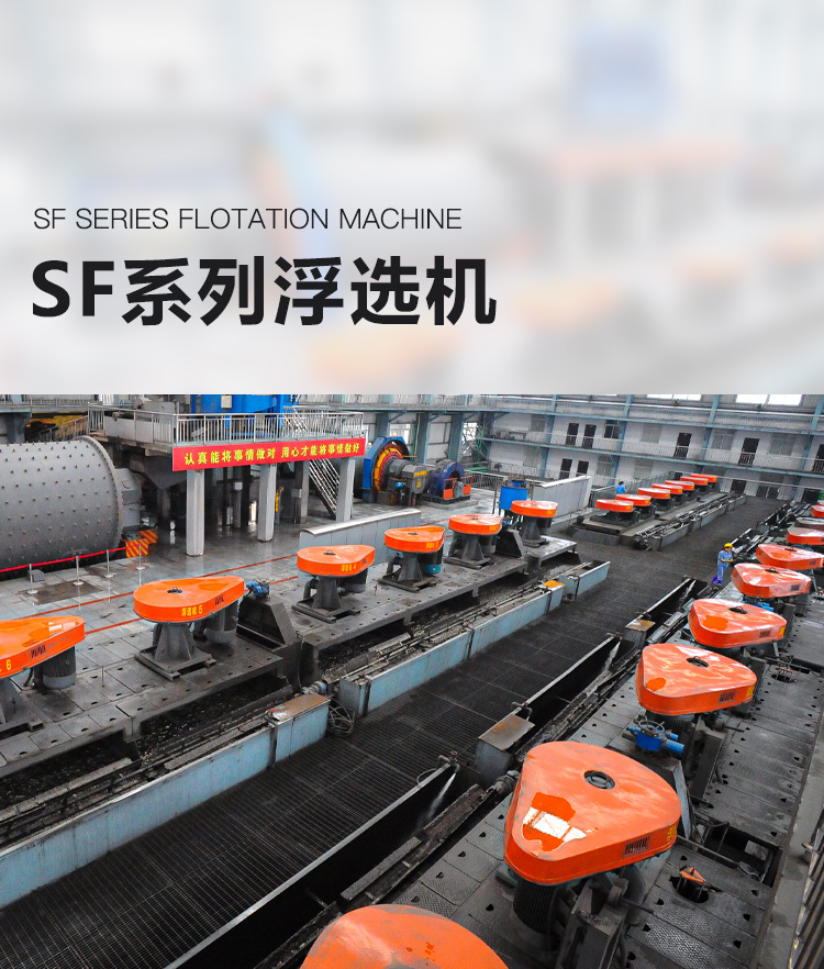 SF系列浮選機(jī)